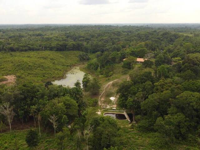 #1905 - Área para Venda em Bujaru - PA