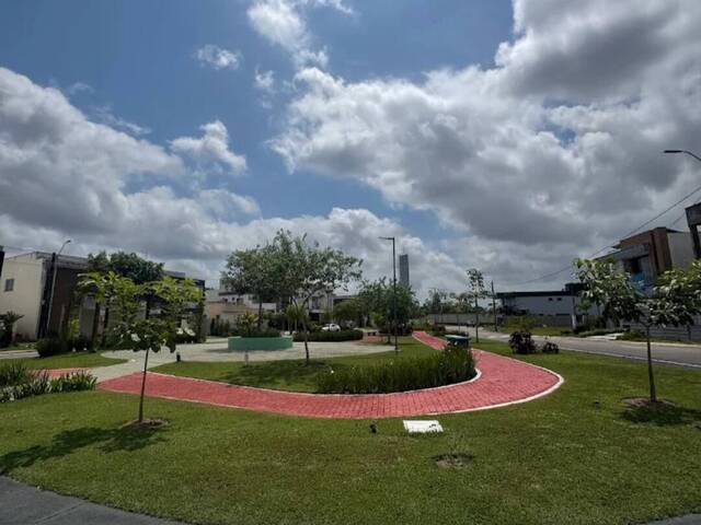 Área para Venda em Belém - 2
