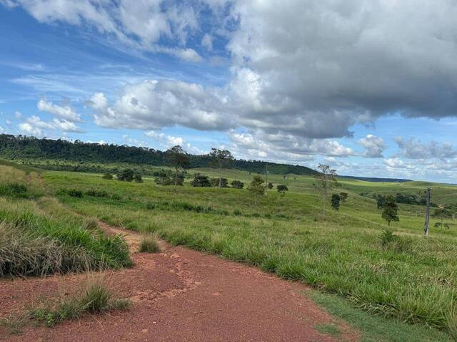Fazenda para Venda em Dom Eliseu - 5