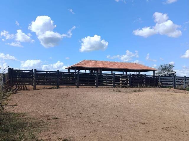 Fazenda para Venda em Dom Eliseu - 4